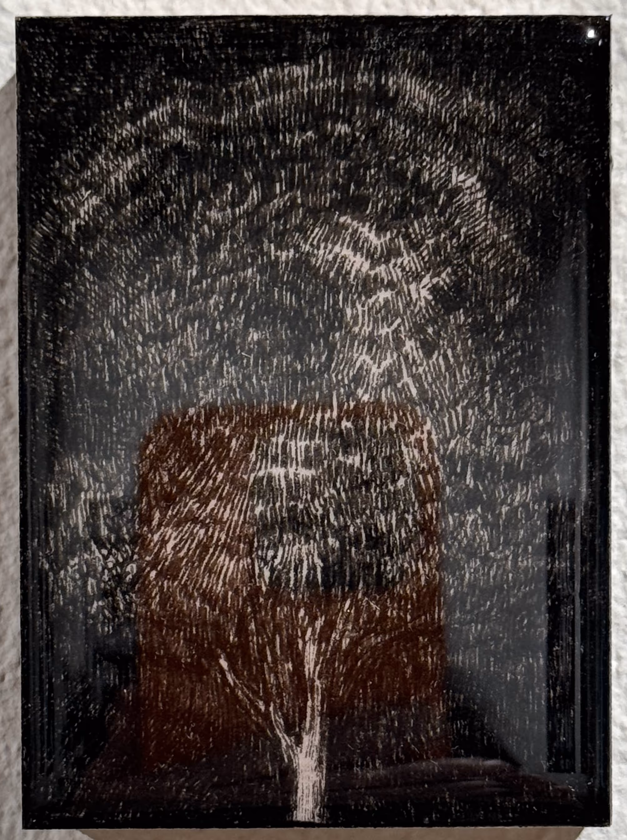 La Patûre 06-24-998