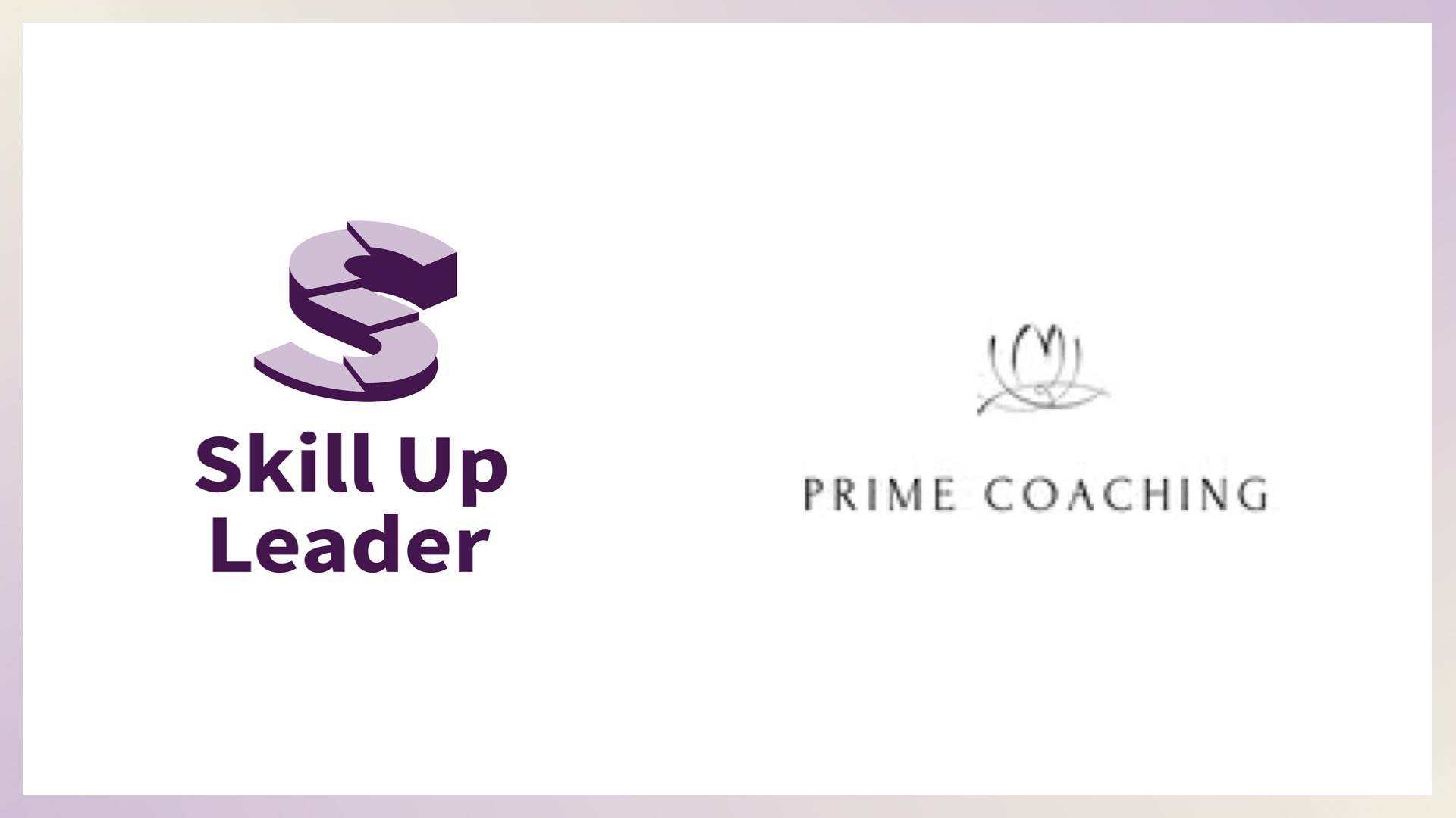 Partner logo