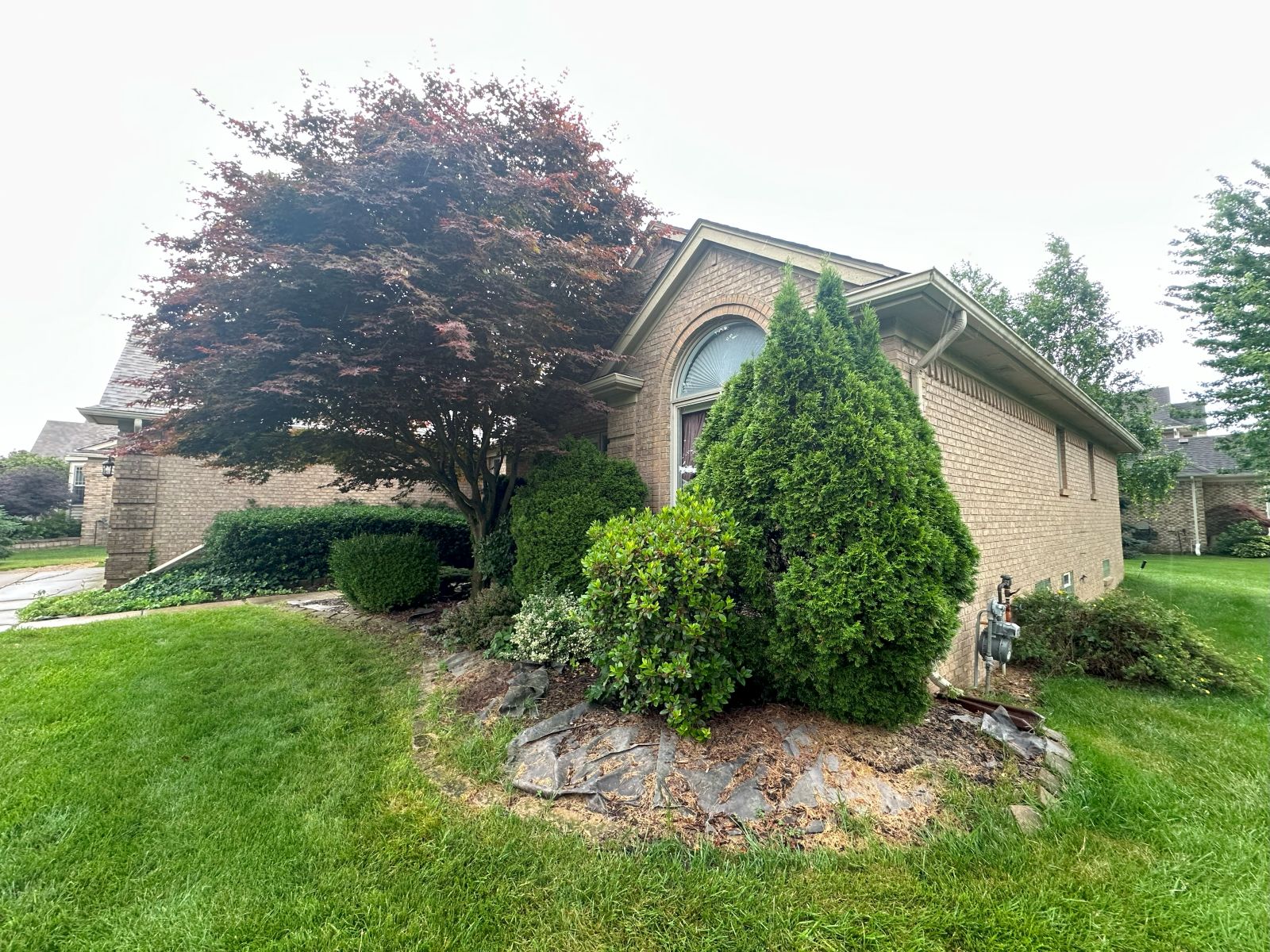 Overgrown front landscape with untrimmed shrubs and scattered rock before cleanup and renovation by JB Landscaping in Macomb, MI