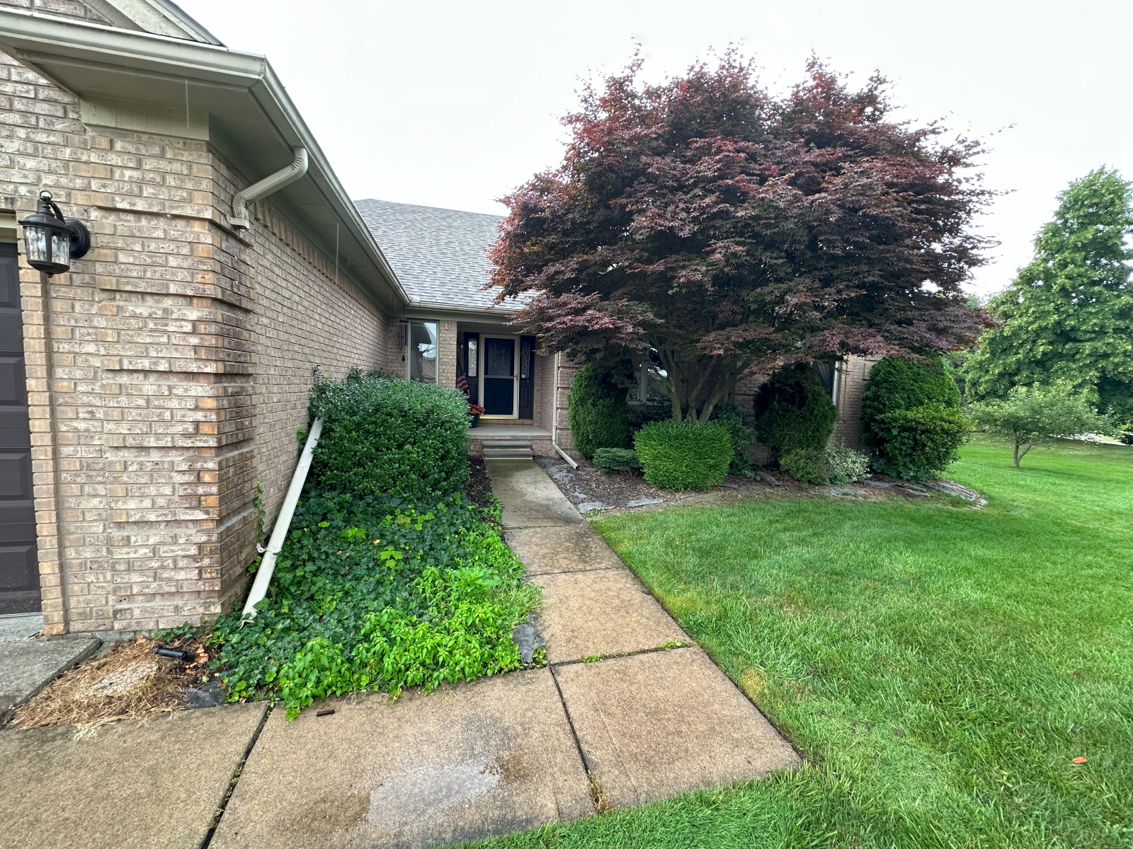 Overgrown front yard with weeds and outdated edging before renovation by JB Landscaping in Macomb, MI