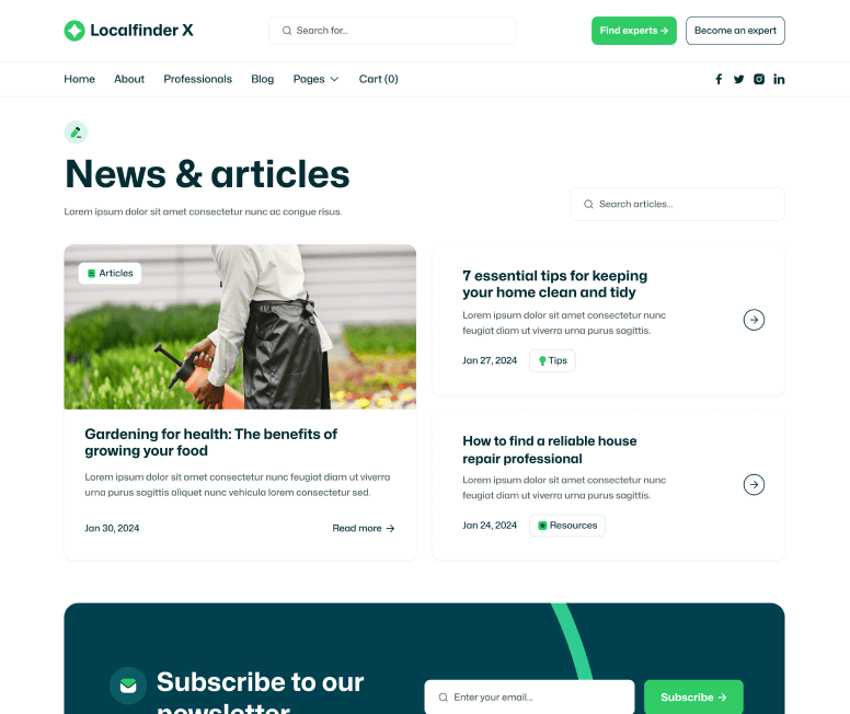 Localfinder X - Blog Post Page - Service Marketplace Webflow Template