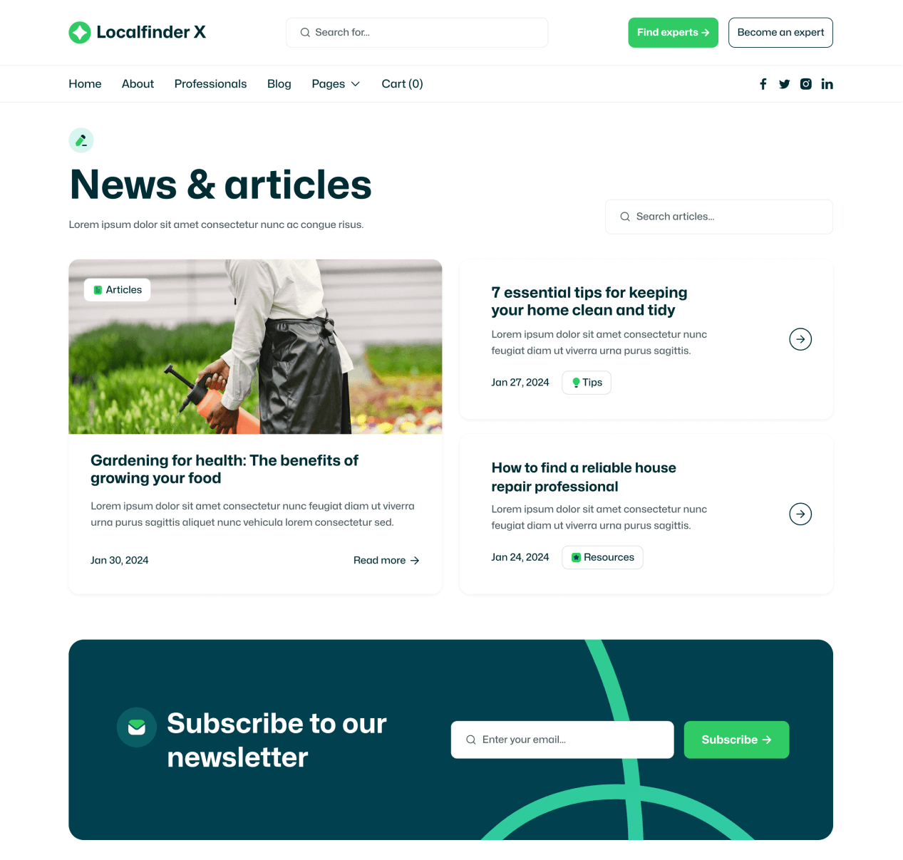 Localfinder X - Blog Post Page - Service Marketplace Webflow Template