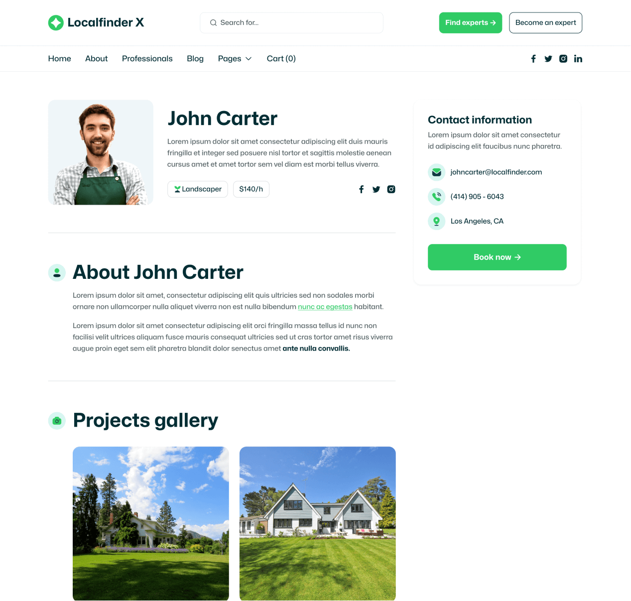 Localfinder X - Professionals Single Page - Service Marketplace Webflow Template