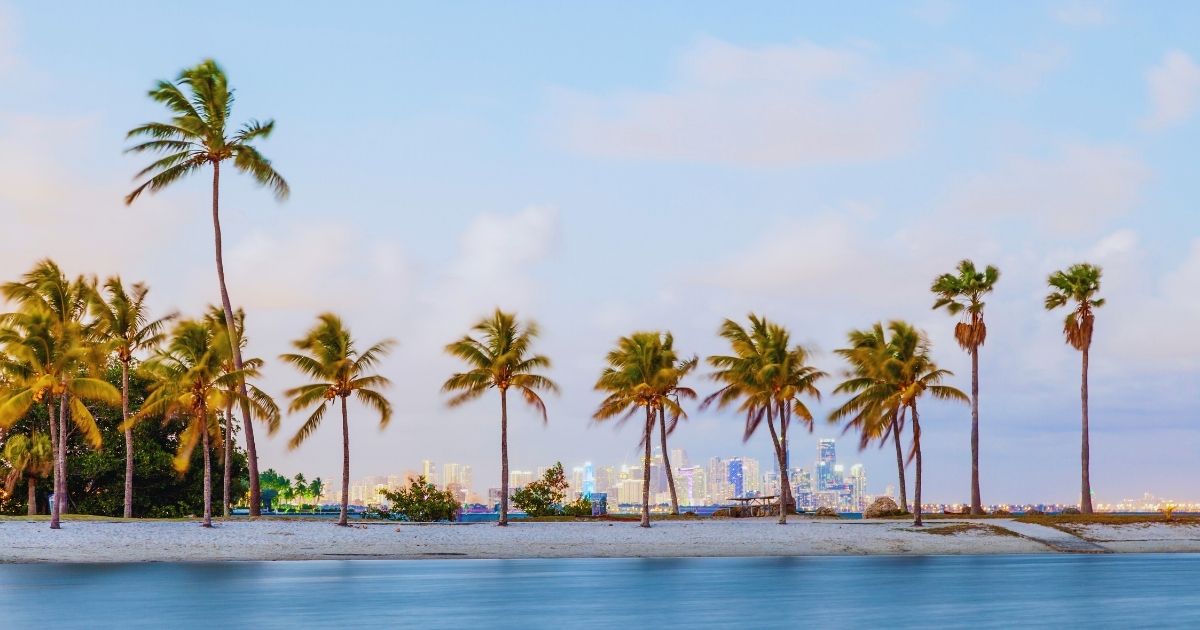 Smiling House Cleaner 1