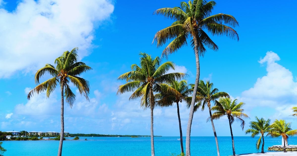 Smiling House Cleaner 1