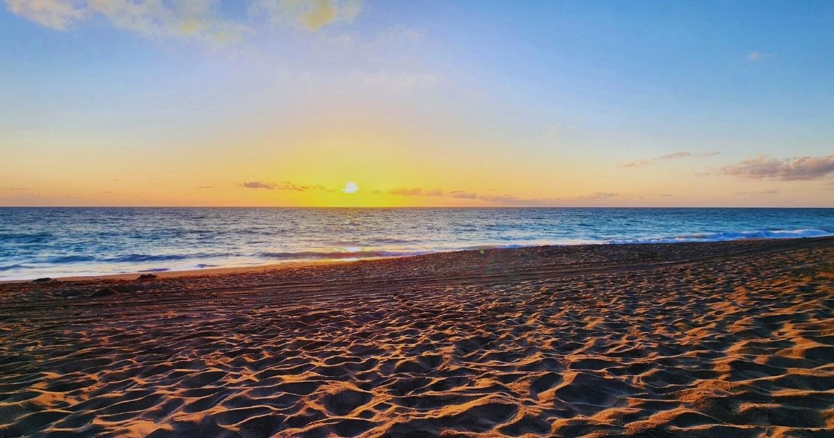 Smiling House Cleaner 1