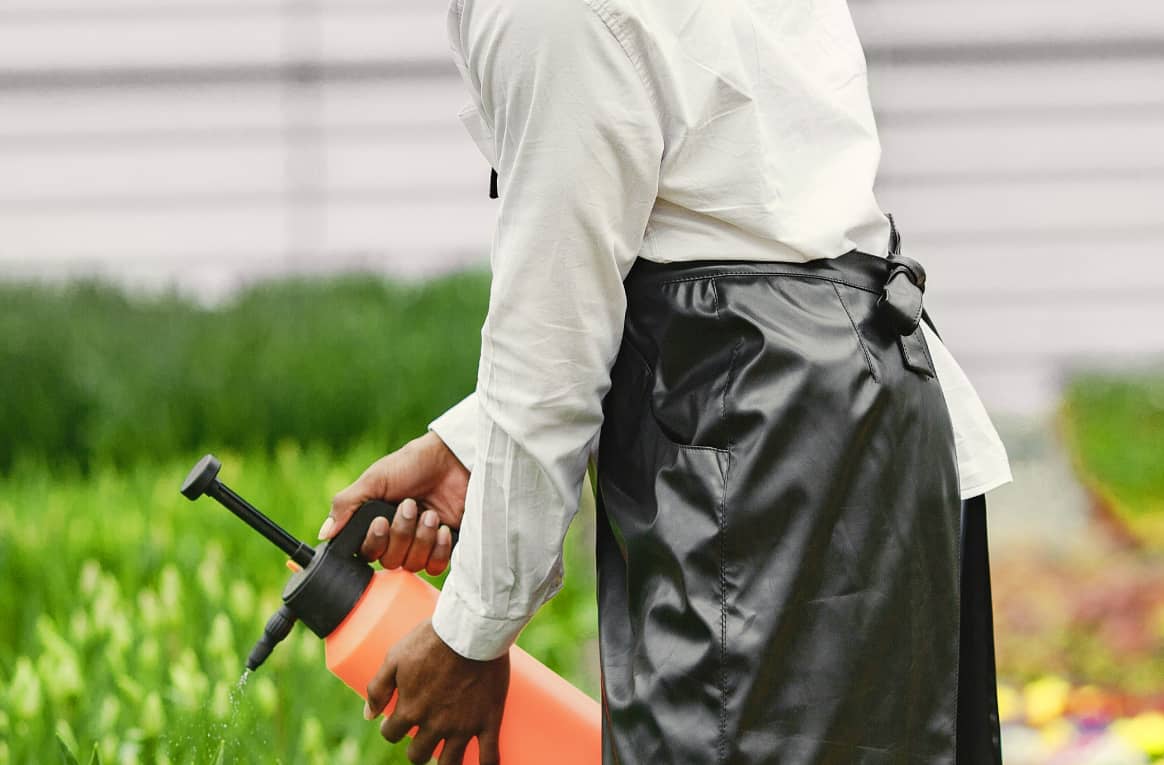 Gardening for health: The benefits of growing your food