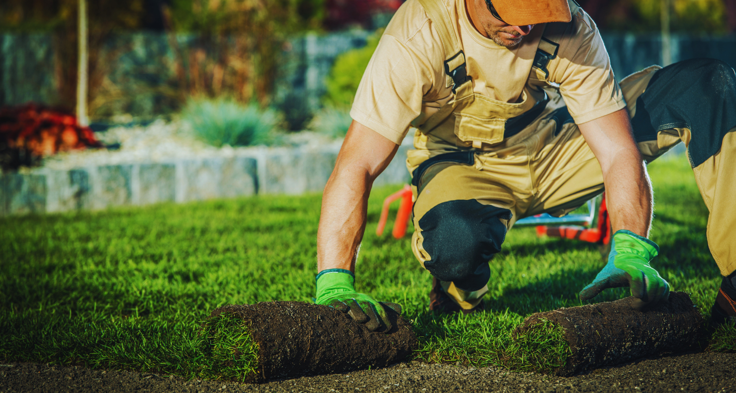 Lawn care services