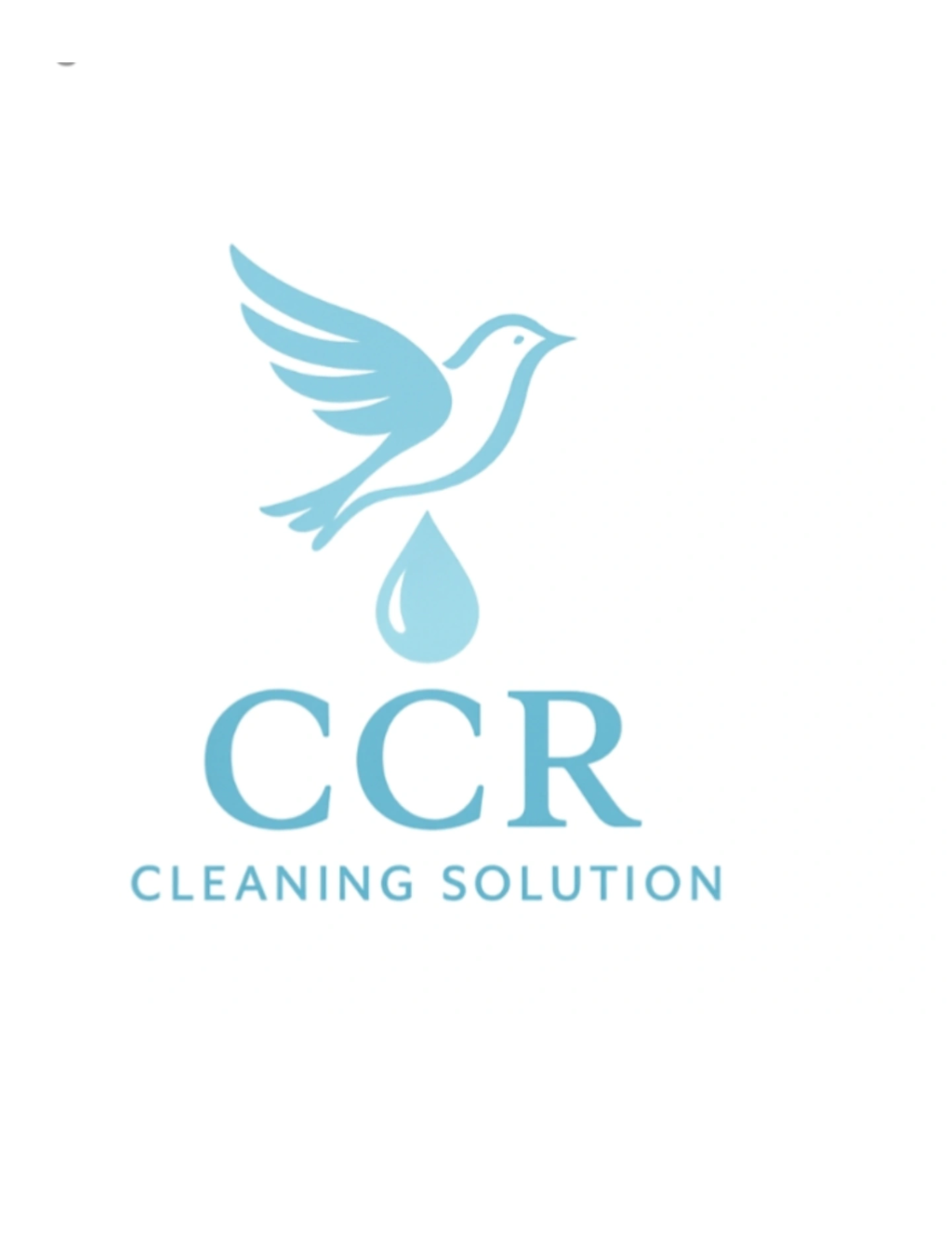 CCR Cleaning Solution