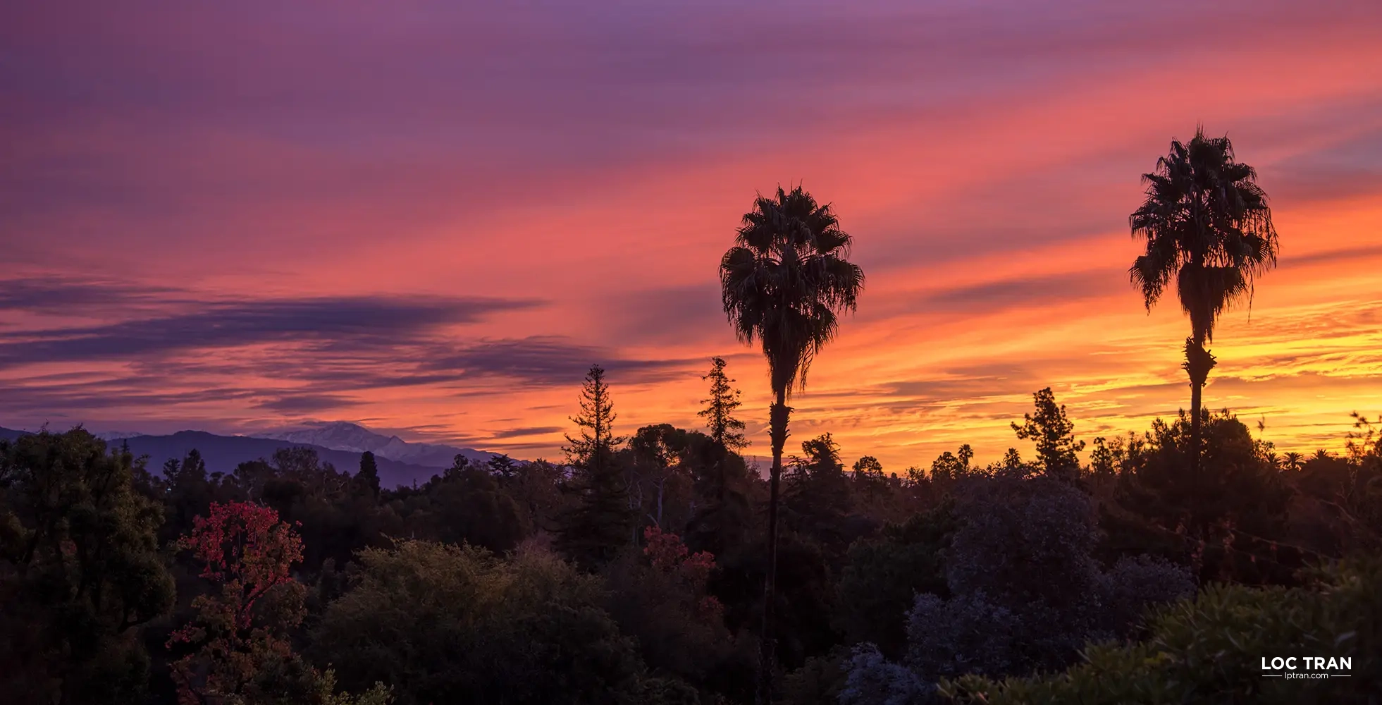 Sunrise in Pasadena, California - photo by Loc Tran.