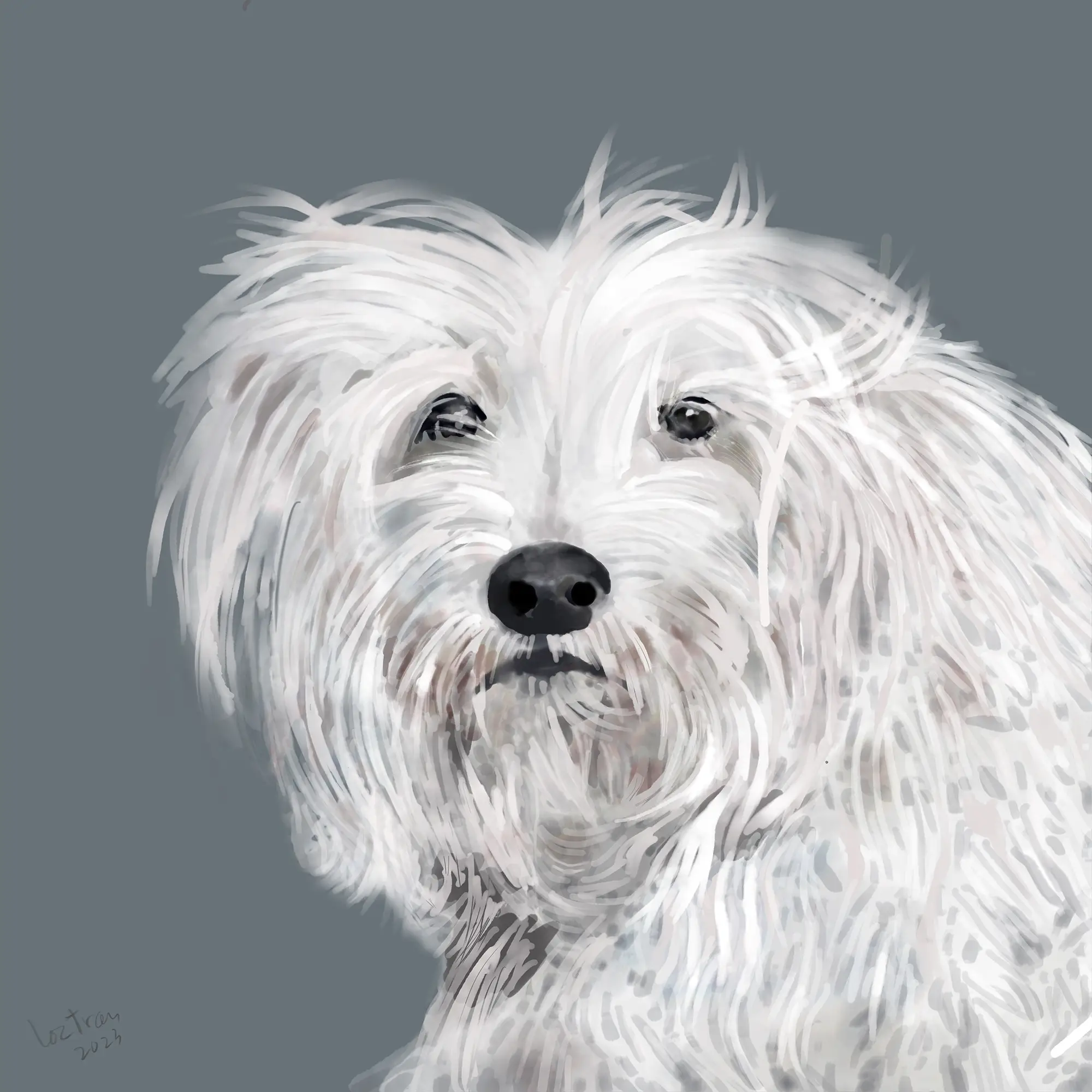 Ginger - digital painting by Loc Tran (Adobe Fresco, iPad, Apple Pencil).