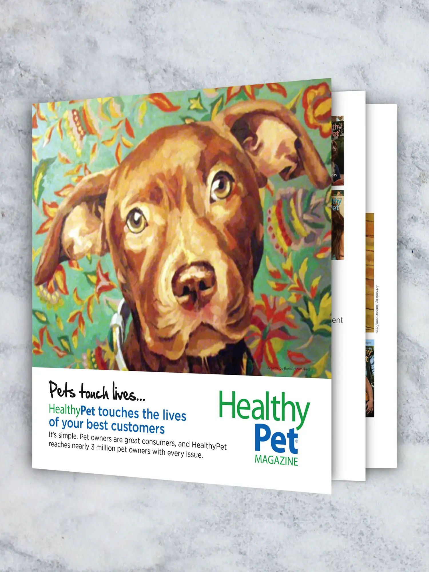 HealthyPet sales brochure.