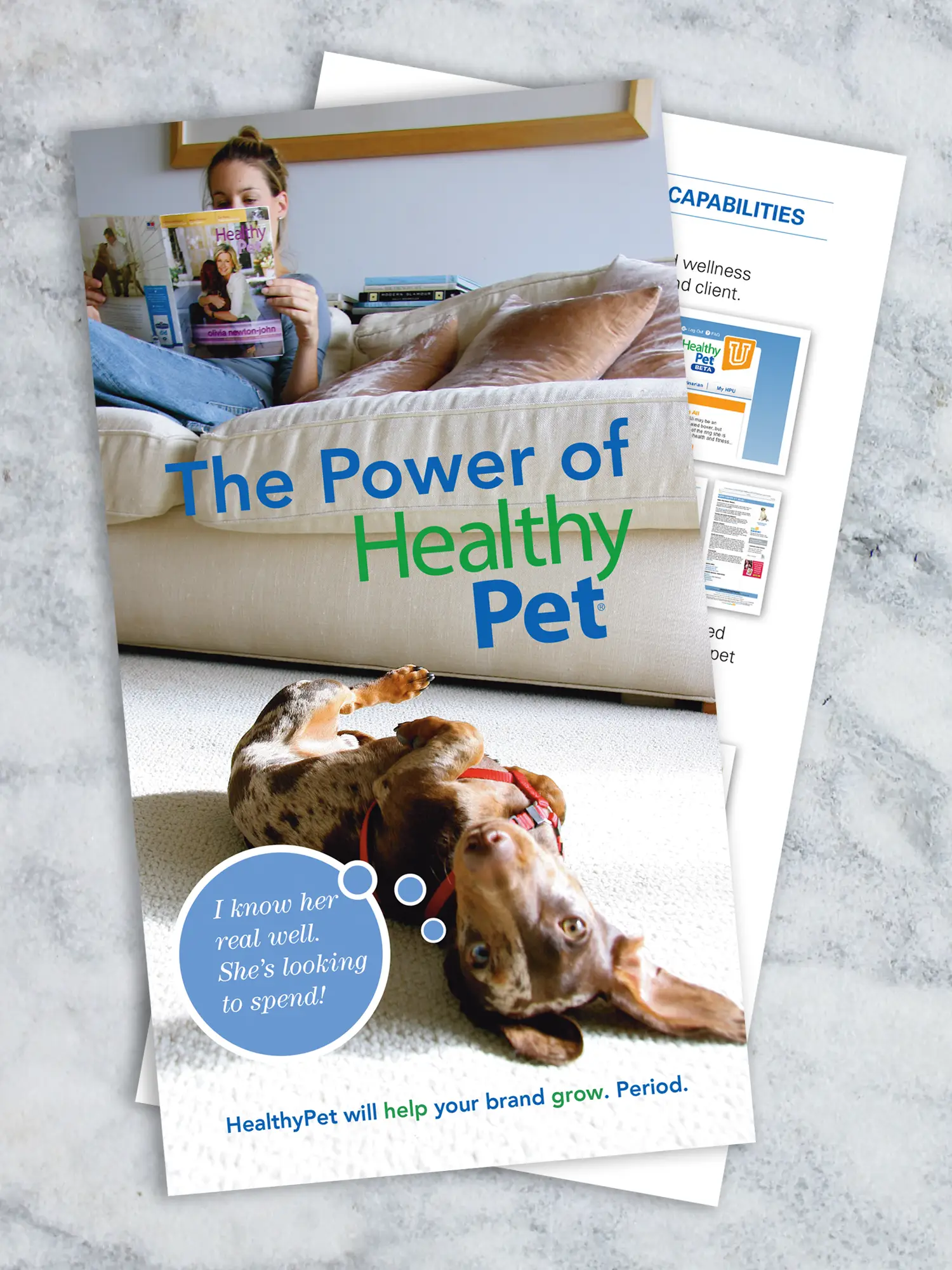 HealthyPet brochure.