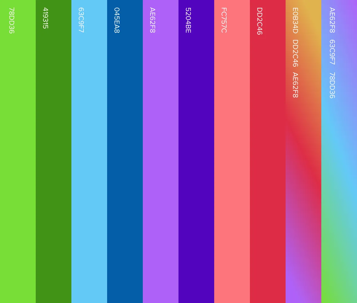 Vertical bars representing a color palette or brand system in rainbow order