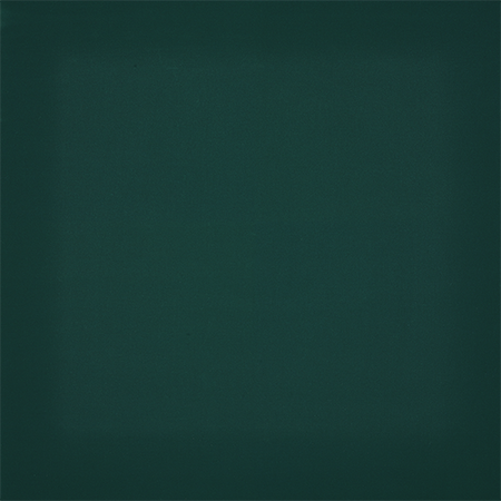 Dickson Orchestra Foret 6687 performance fabric.