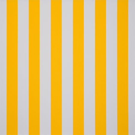 Dickson Orchestra Blanc/Jaune 8553 performance fabric.