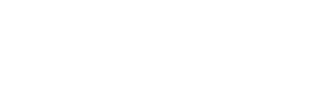 1nspire Logo white version