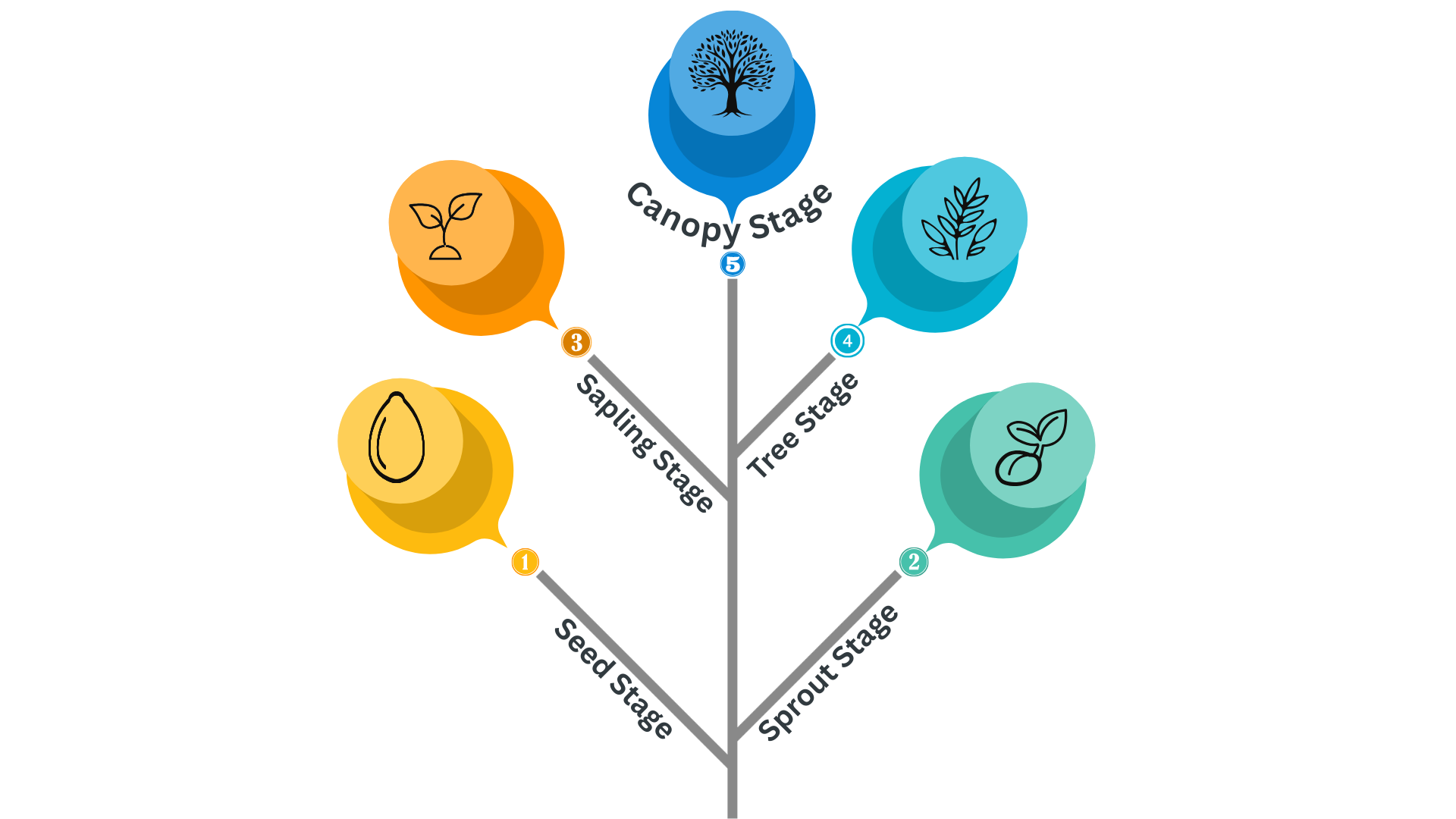 Skill Tree Journey