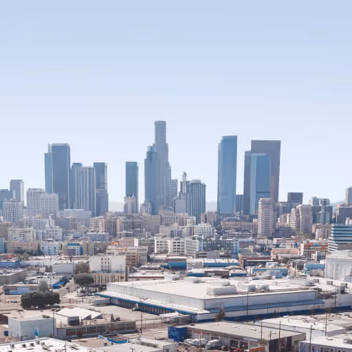 The Best Experiences In Your City - LocalListing X Webflow Template