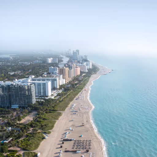 The Best Experiences In Your City - LocalListing X Webflow Template