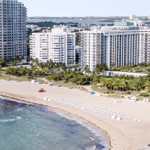 The Best Experiences In Your City - LocalListing X Webflow Template