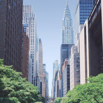 The Best Experiences To Do In Your City - LocalListing X Webflow Template