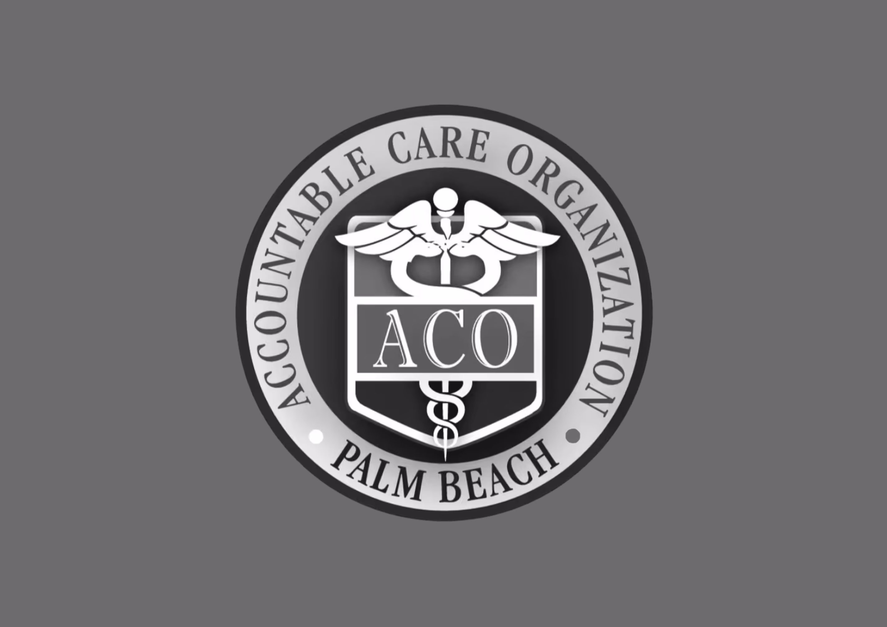 Palm Beach Accountable Care Organization logo.