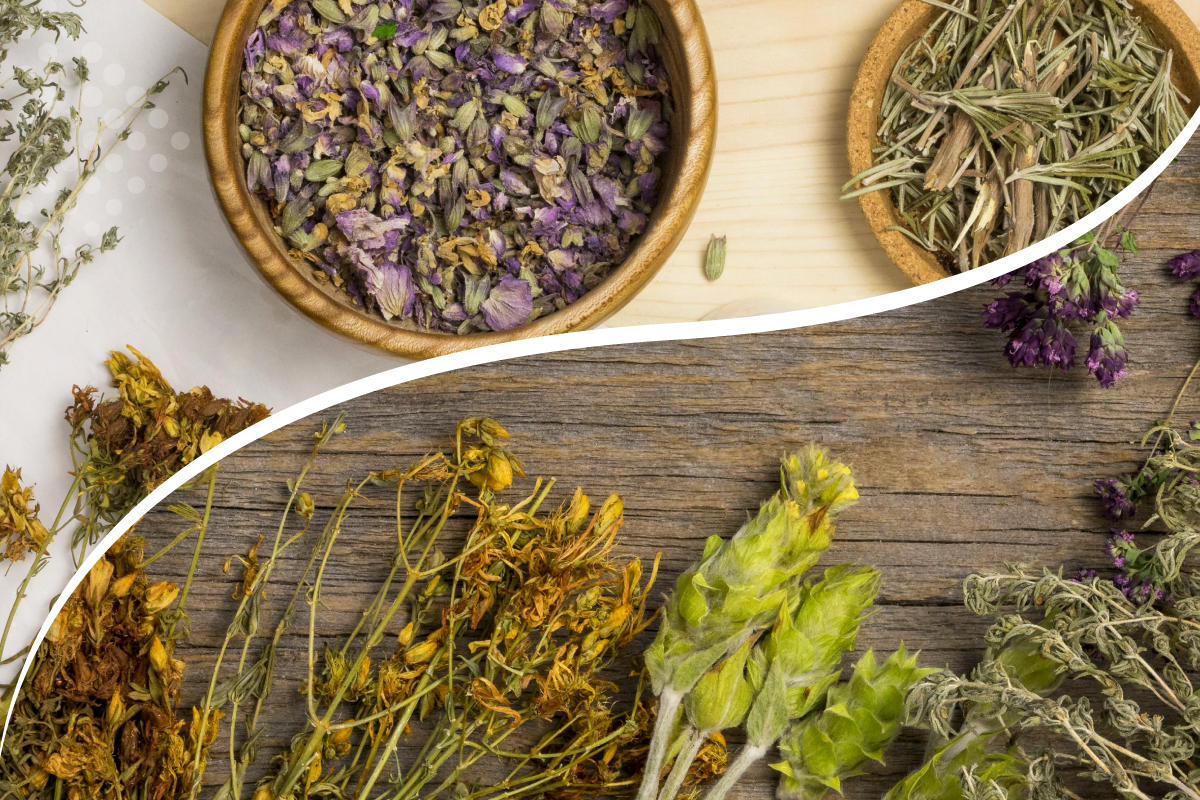 🪴 ¿Usas remedios herbales? Esto es lo que debes saber si estás en tratamiento contra el cáncer