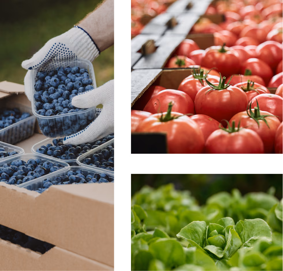 produce-partner-with-best-bay