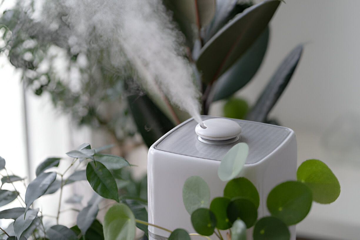 White air humidifier emitting steam near green houseplants