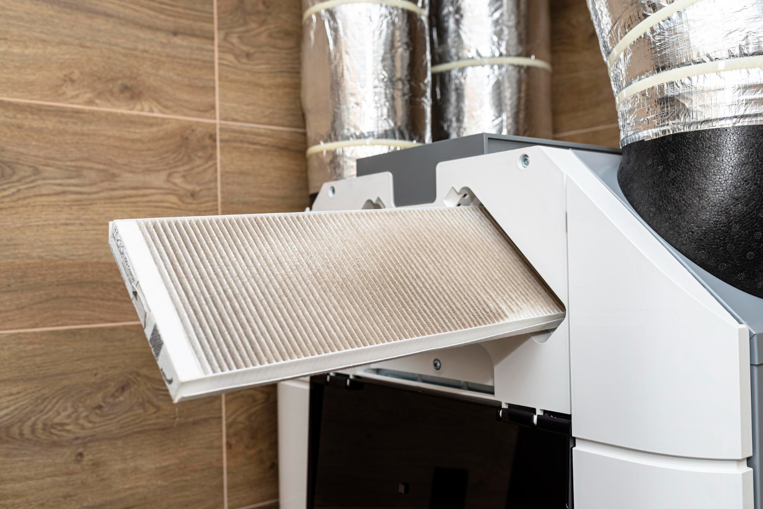 Seasonal Allergies and Home Air Filtration Solutions in Fuquay Varina