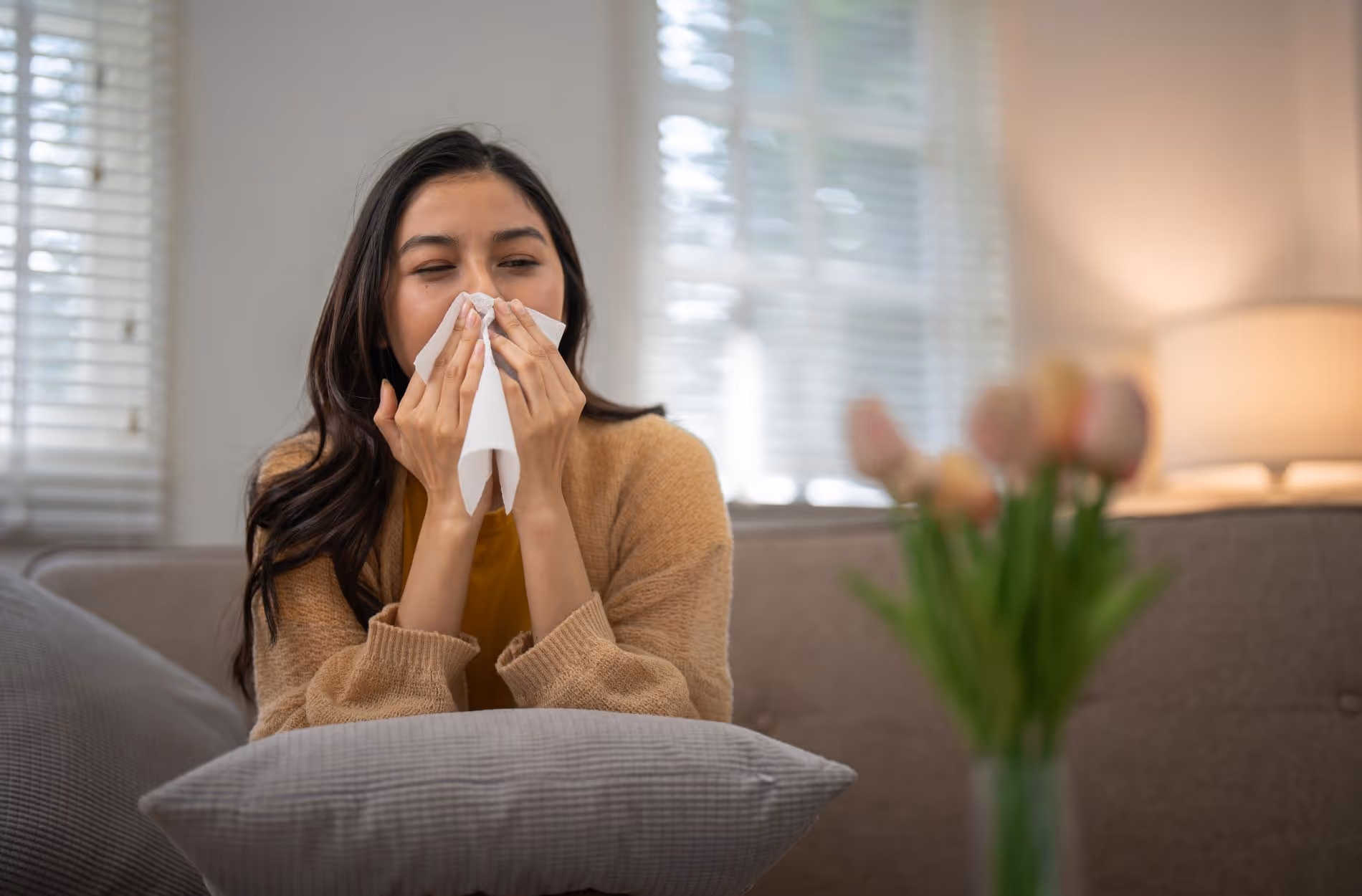 Indoor Air Quality Solutions for Spring Allergy Season