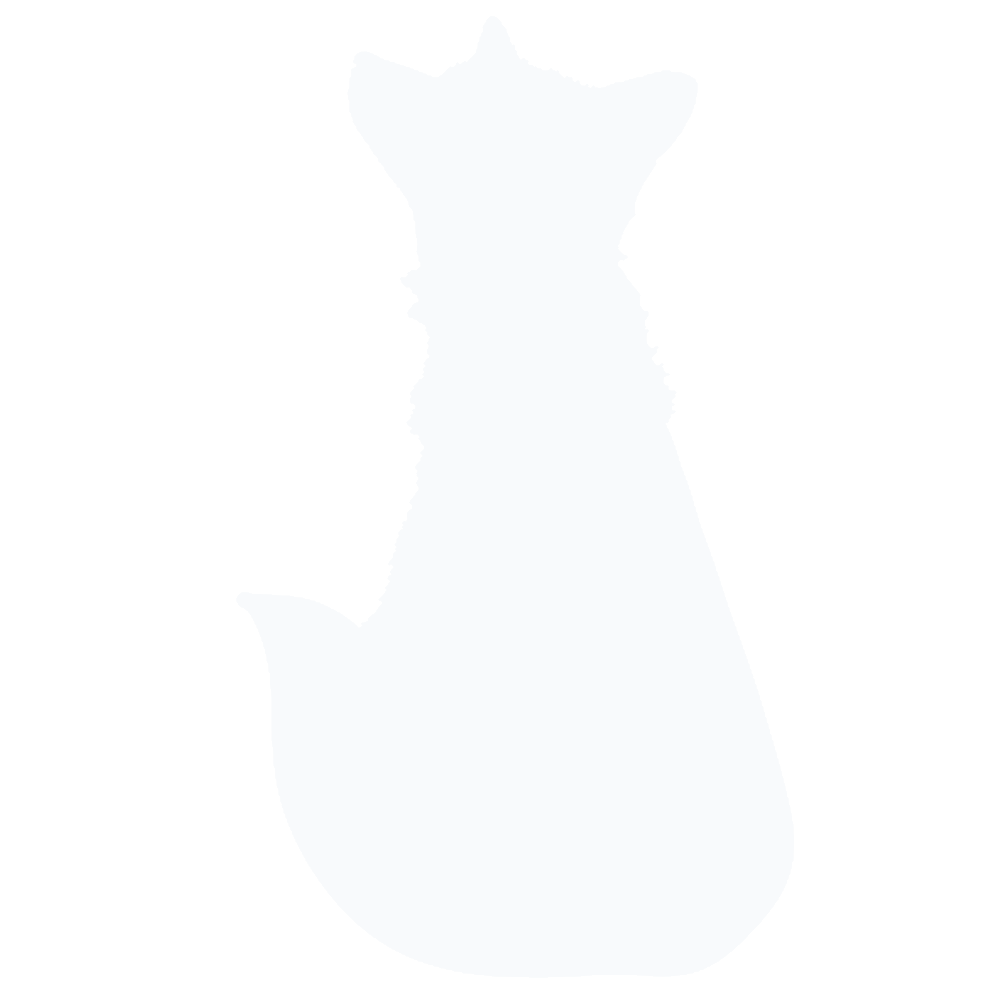 fox white shadow silhouette