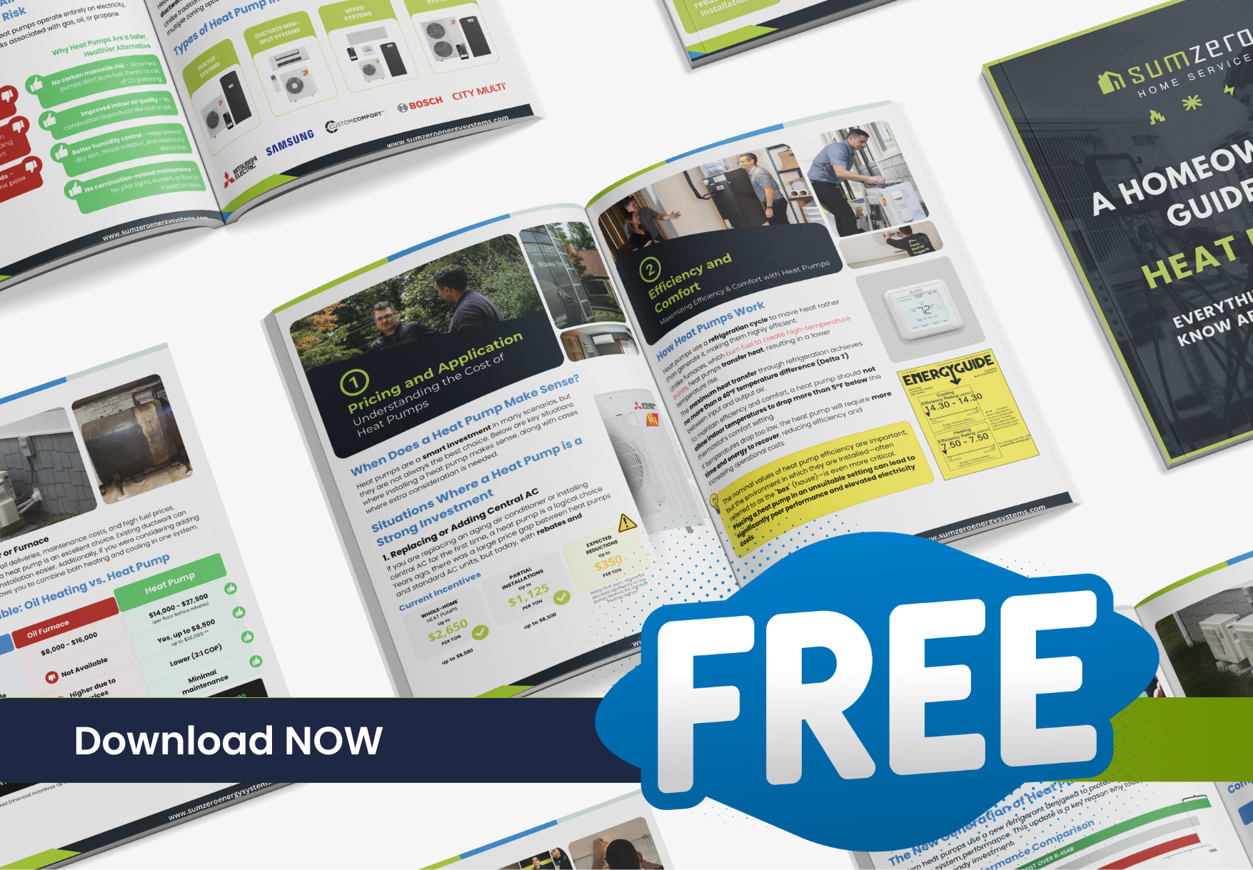 Get the facts on cost, rebates, and efficiency before making the switch.