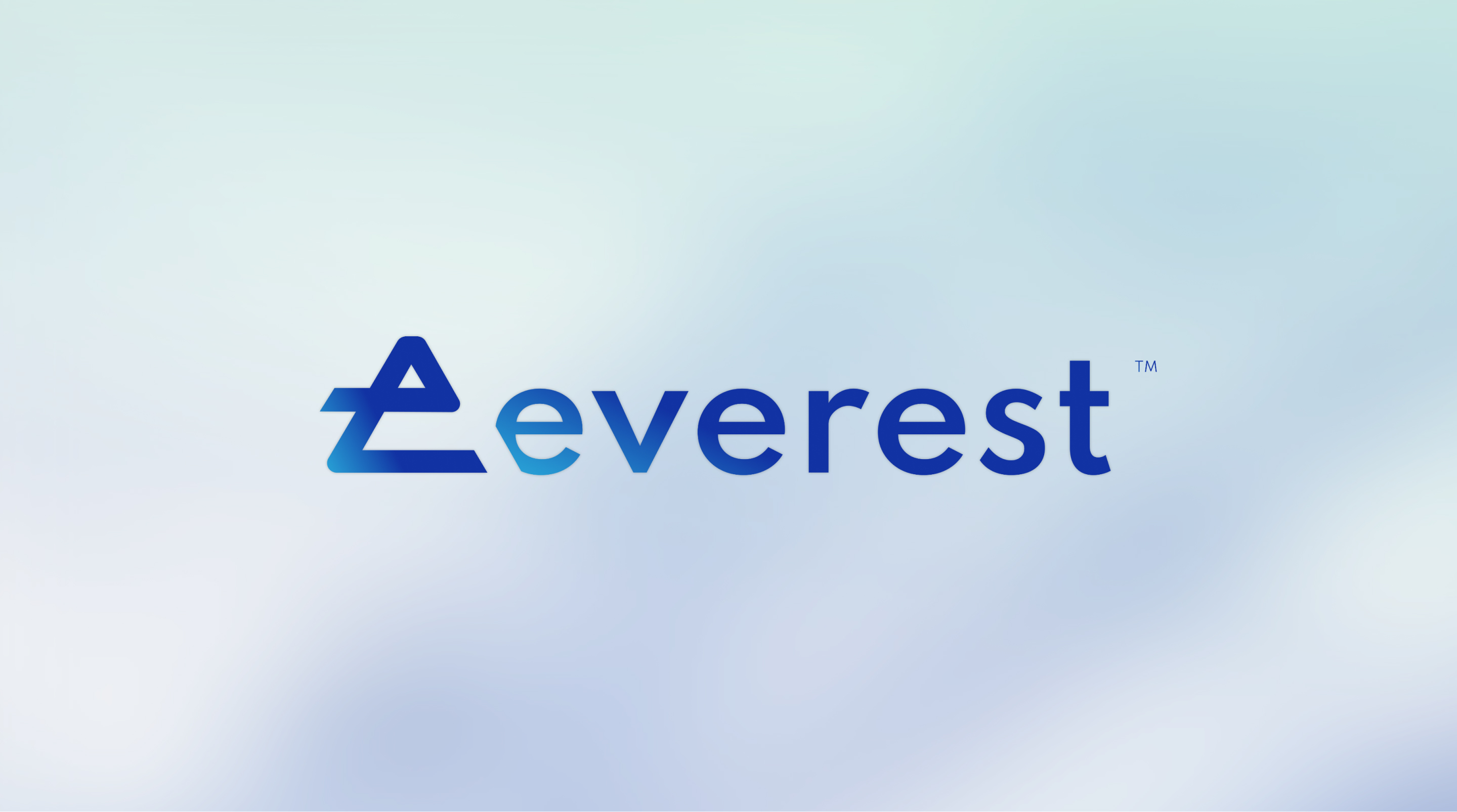Branding for Financial Services | Everest Case Study