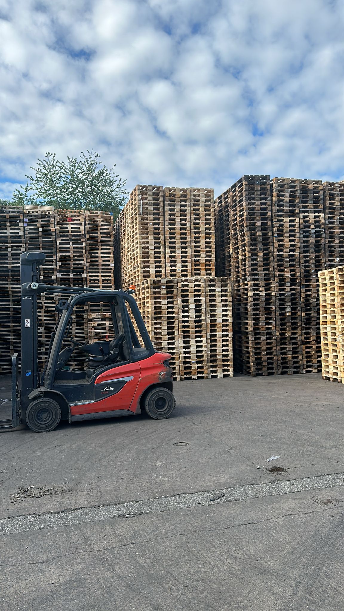Sustainable pallet recycling in the UK – Theaker Pallets
