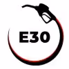 E 30 Fuel Icon