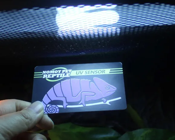 UVB sensor - niezbędnik każdego terrarysty - sprawdź swoją żarówk