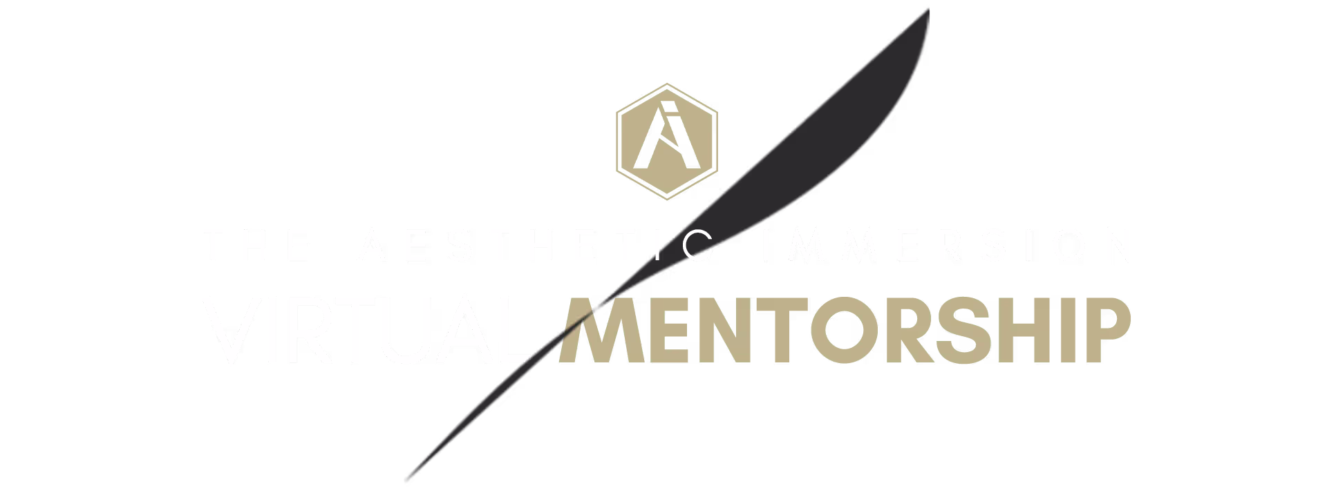 The Aesthetic Immersion
VIRTUAL MENTORSHIP
The road to success has never been this clear