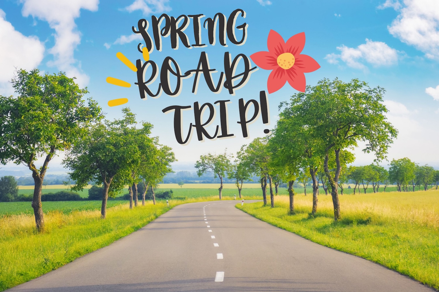 Your Travel Stop for Spring Road Trips
