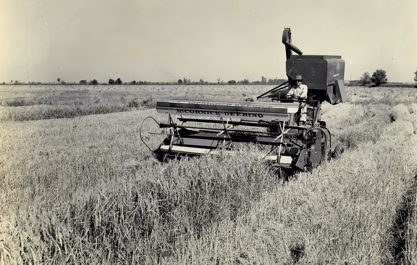 A person on a farm machine Description automatically generated