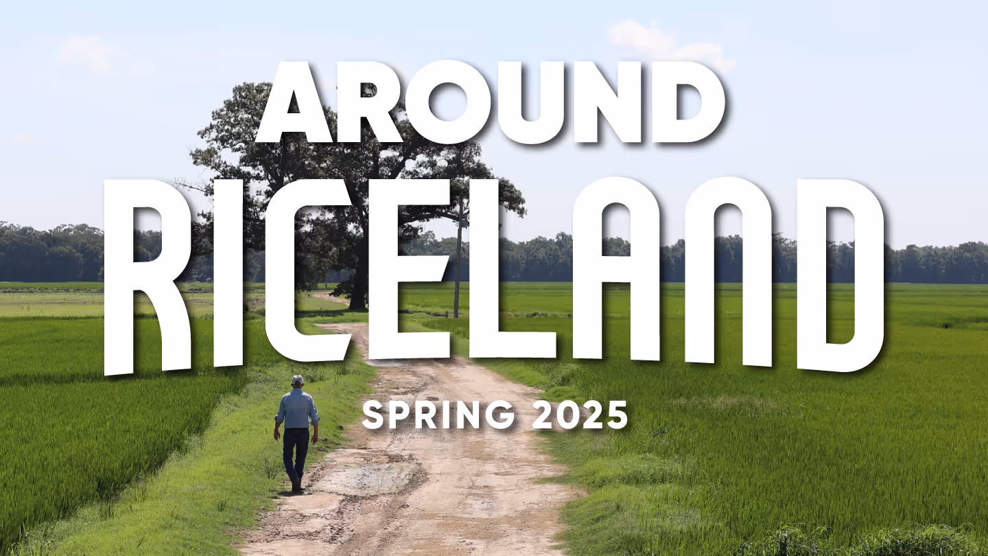 Spring 2025