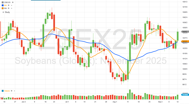 A graph of stock marketAI-generated content may be incorrect.