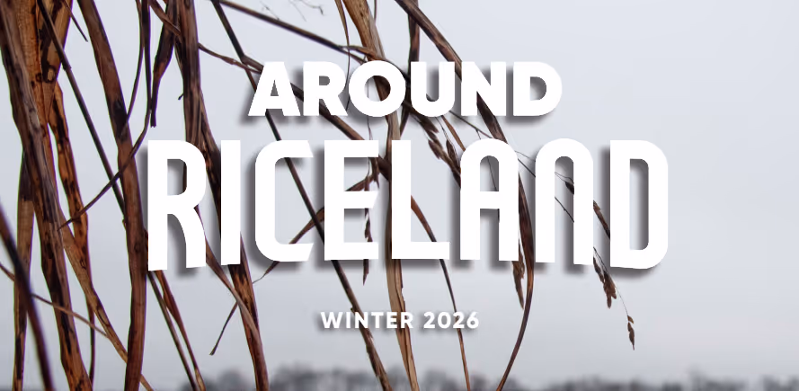 Winter 2026