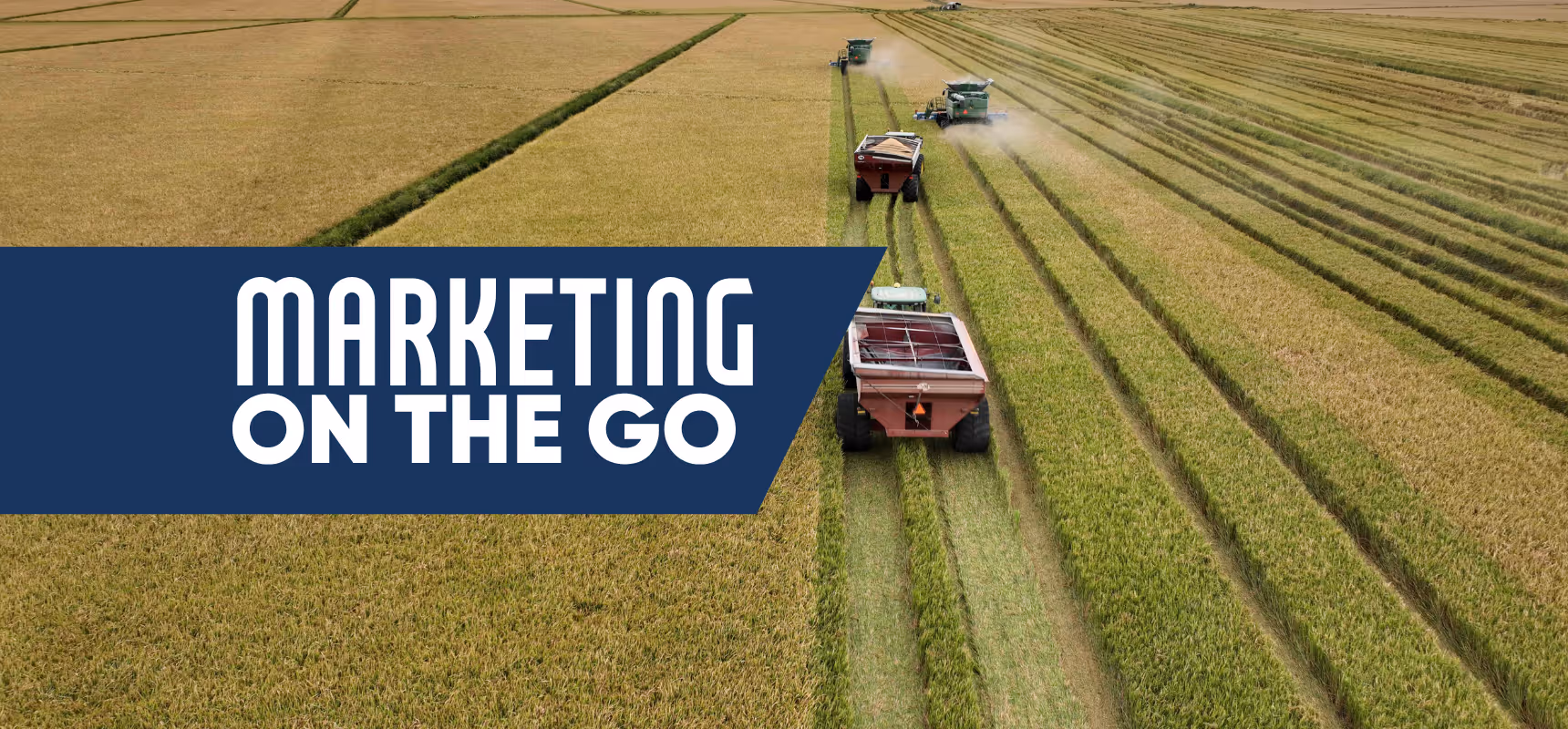 Marketing on the Go