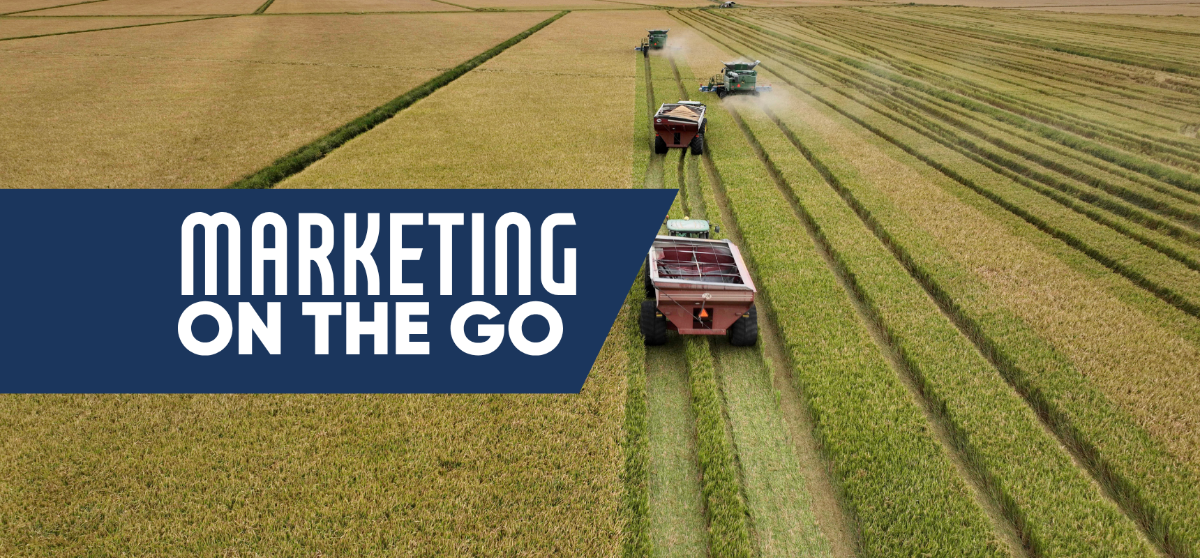 Marketing on the Go