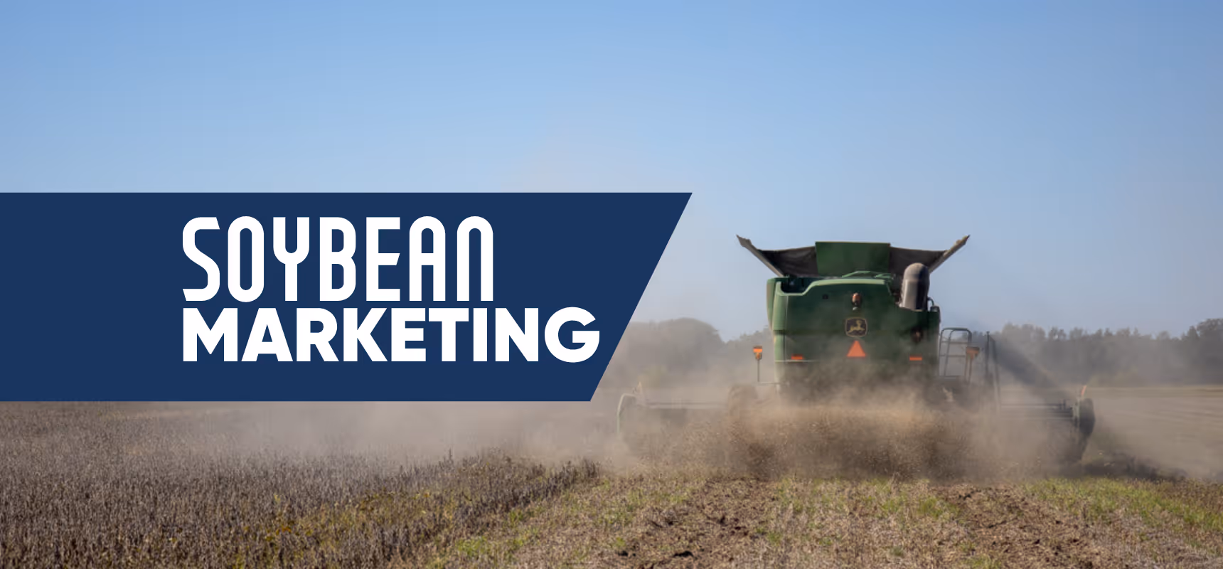 Soybean Marketing Options
