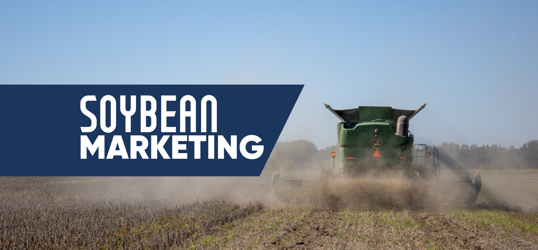 Soybean Marketing Options