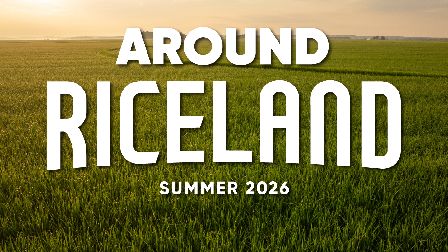 Summer 2026