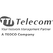 Telecoms data network logo with a globe icon formed by connecting lines.